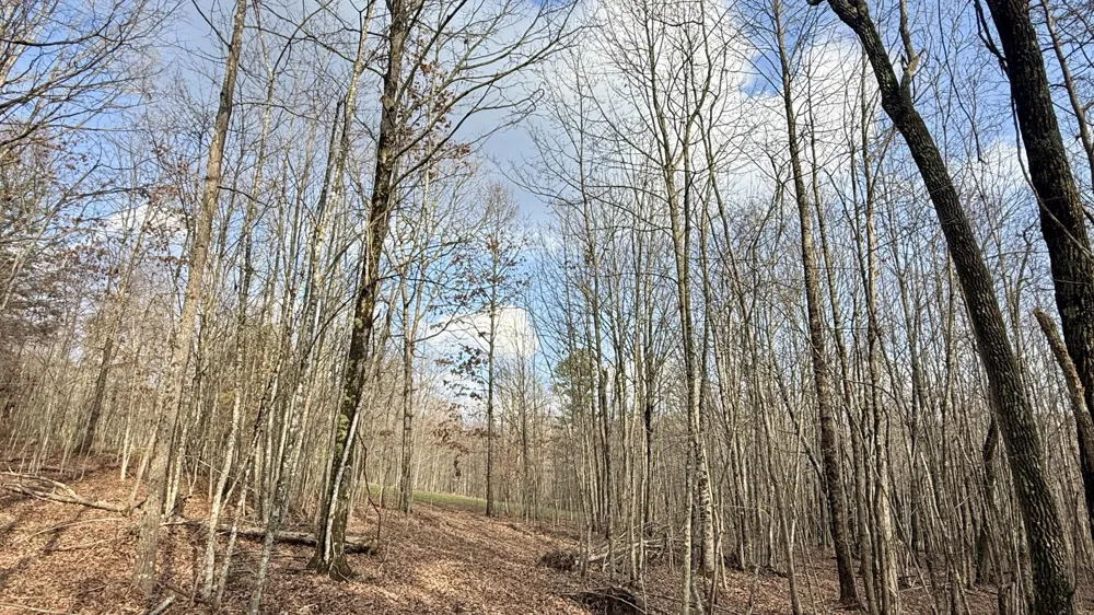 Hobbstown Road Dunlap, TN 37327