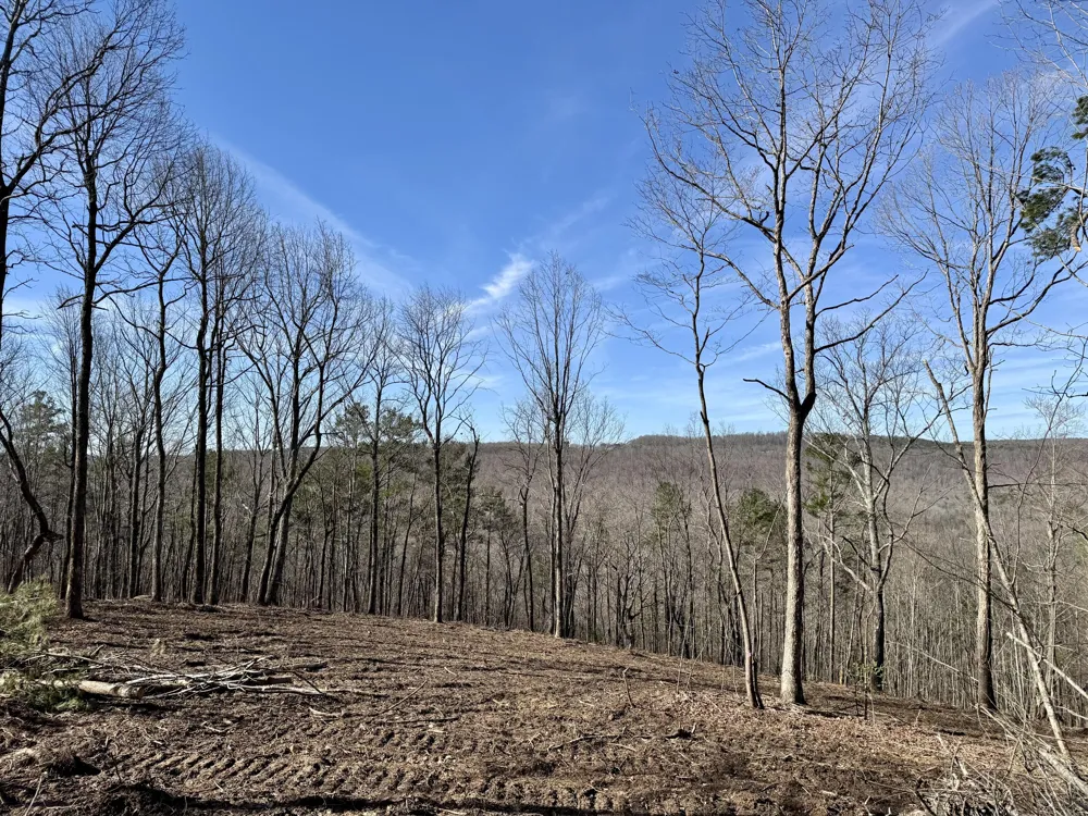Hobbstown Road Dunlap, TN 37327