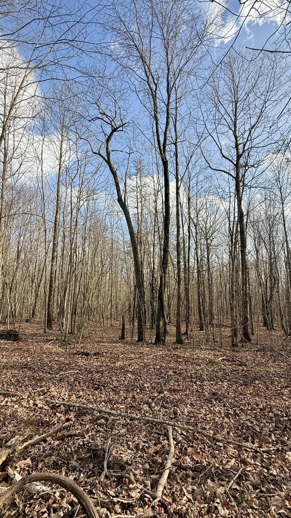 Hobbstown Road Dunlap, TN 37327