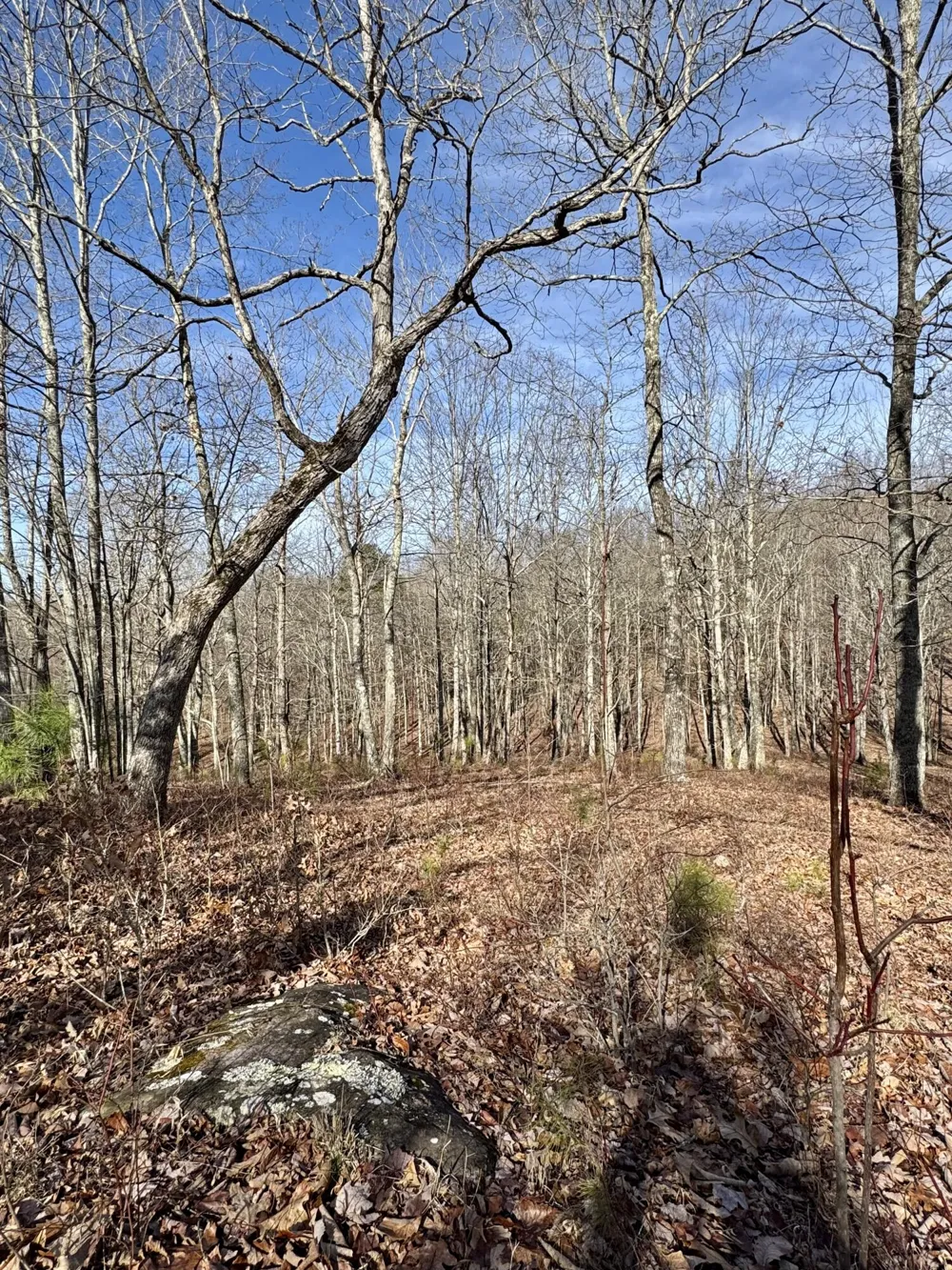 Hobbstown Road Dunlap, TN 37327