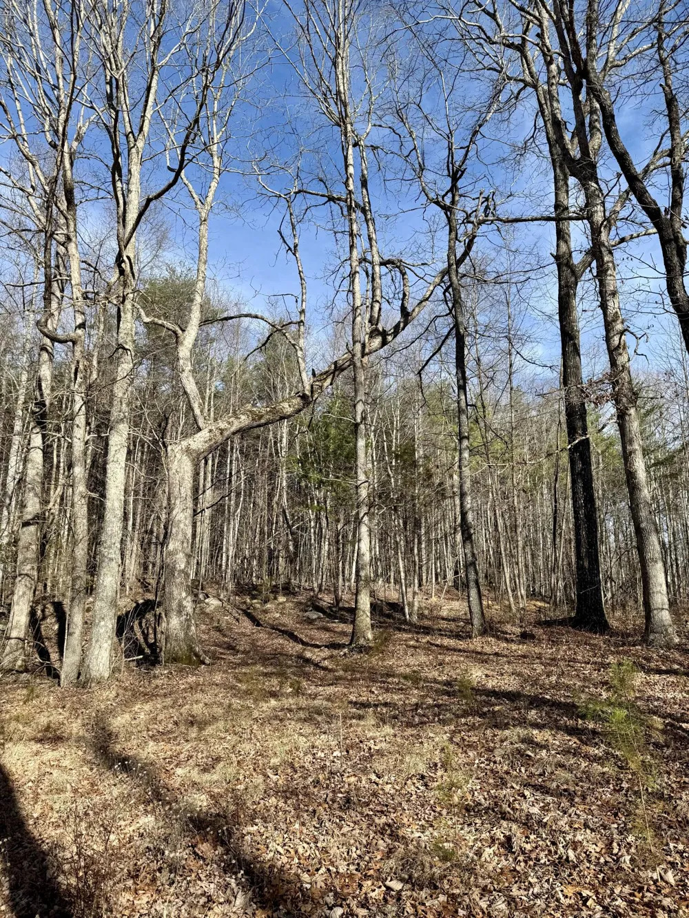 Hobbstown Road Dunlap, TN 37327