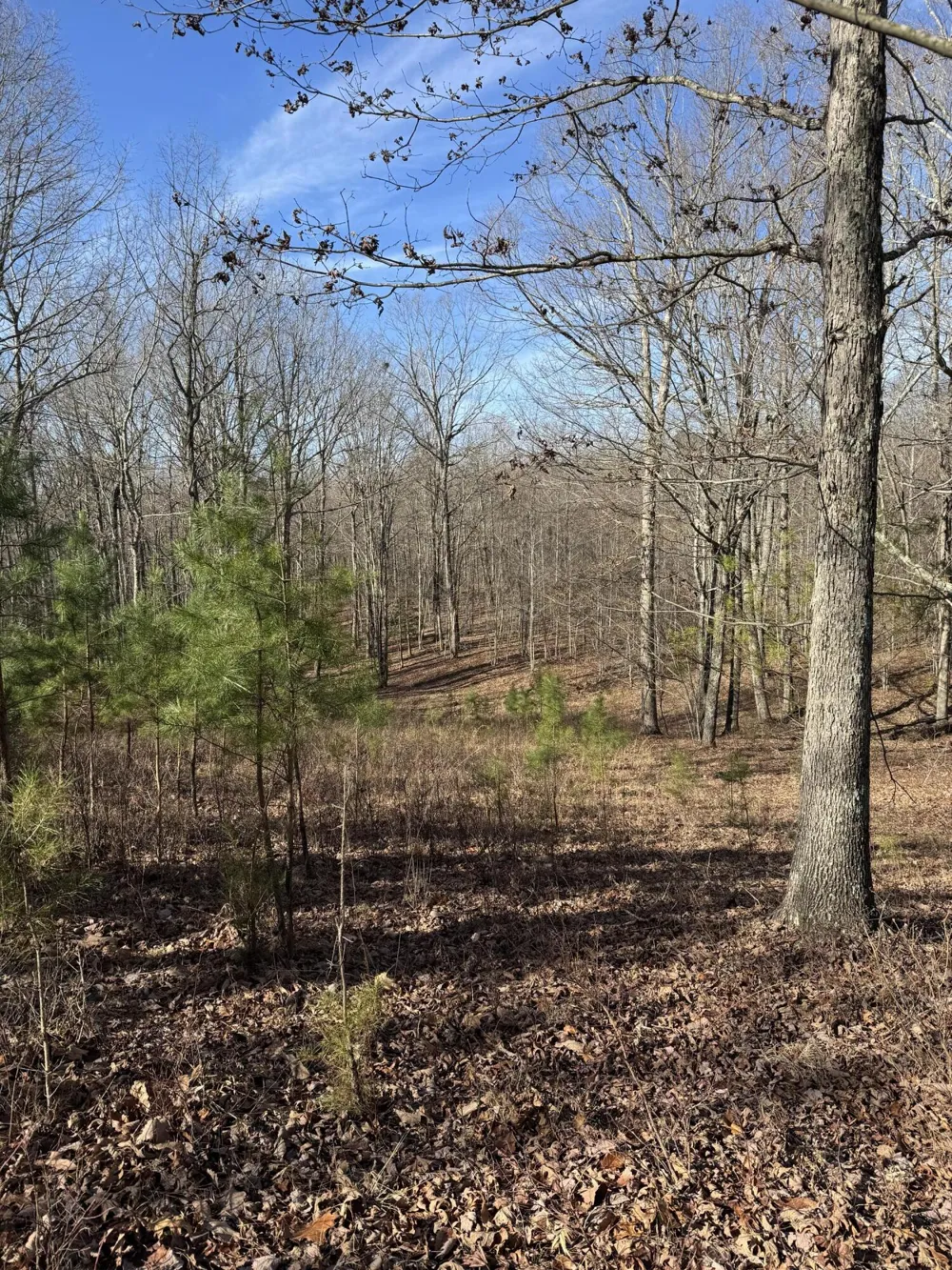 Hobbstown Road Dunlap, TN 37327