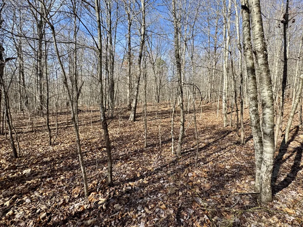 Hobbstown Road Dunlap, TN 37327