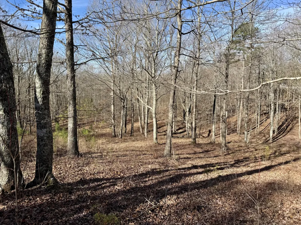 Hobbstown Road Dunlap, TN 37327