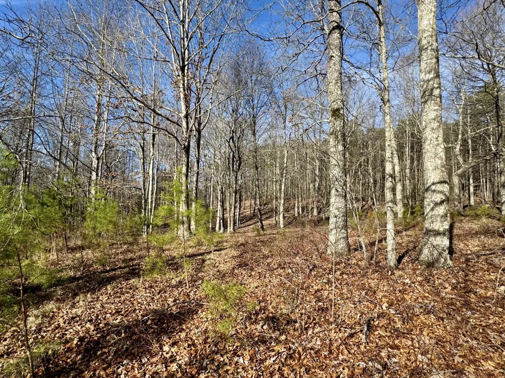 Hobbstown Road Dunlap, TN 37327