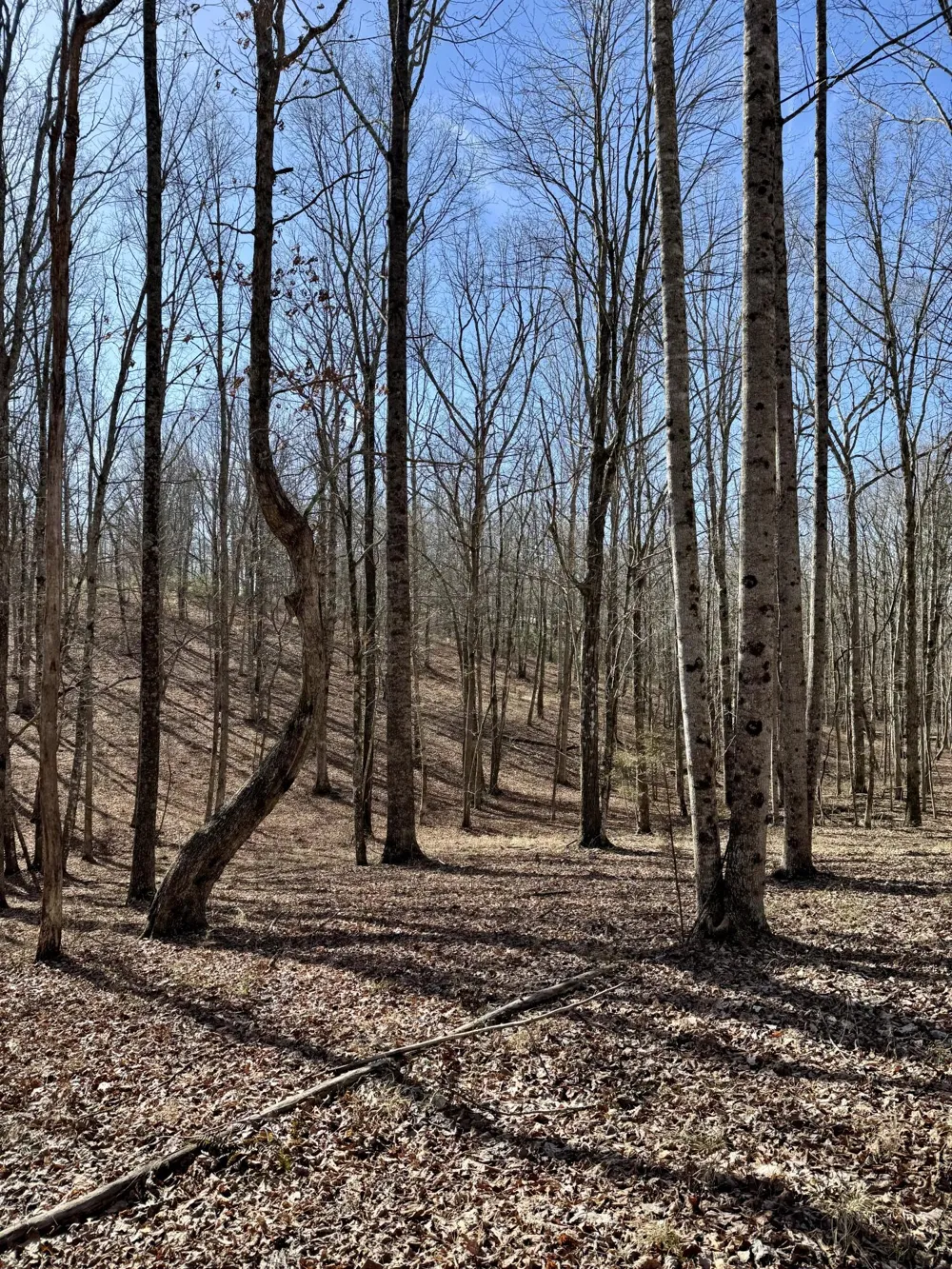 Hobbstown Road Dunlap, TN 37327