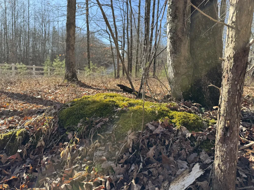 Hobbstown Road Dunlap, TN 37327