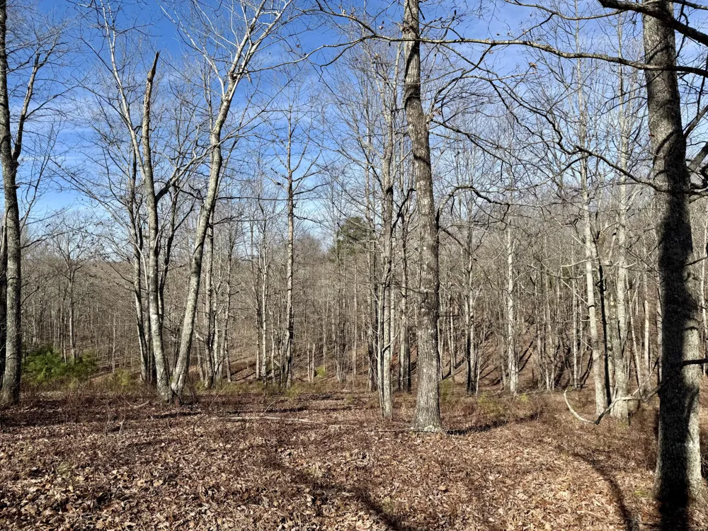 Hobbstown Road Dunlap, TN 37327