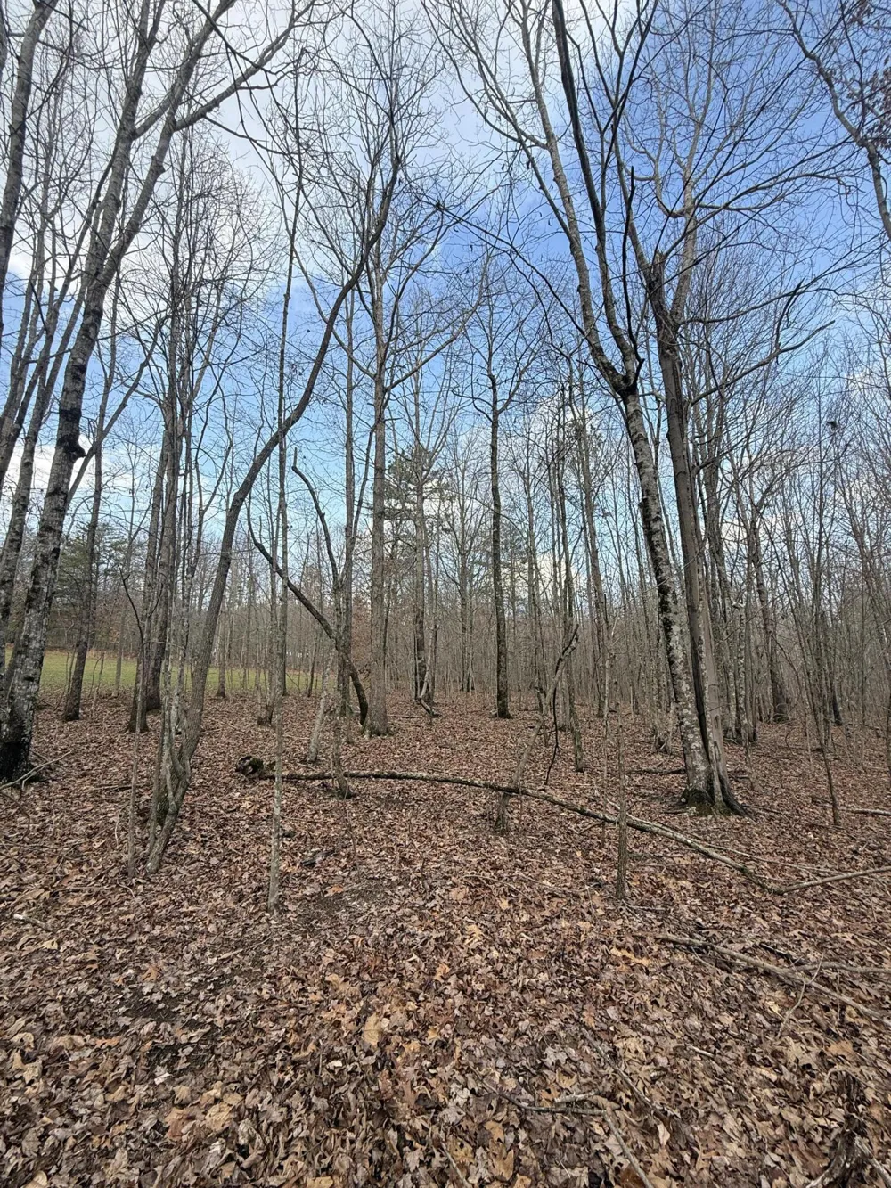 Hobbstown Road Dunlap, TN 37327