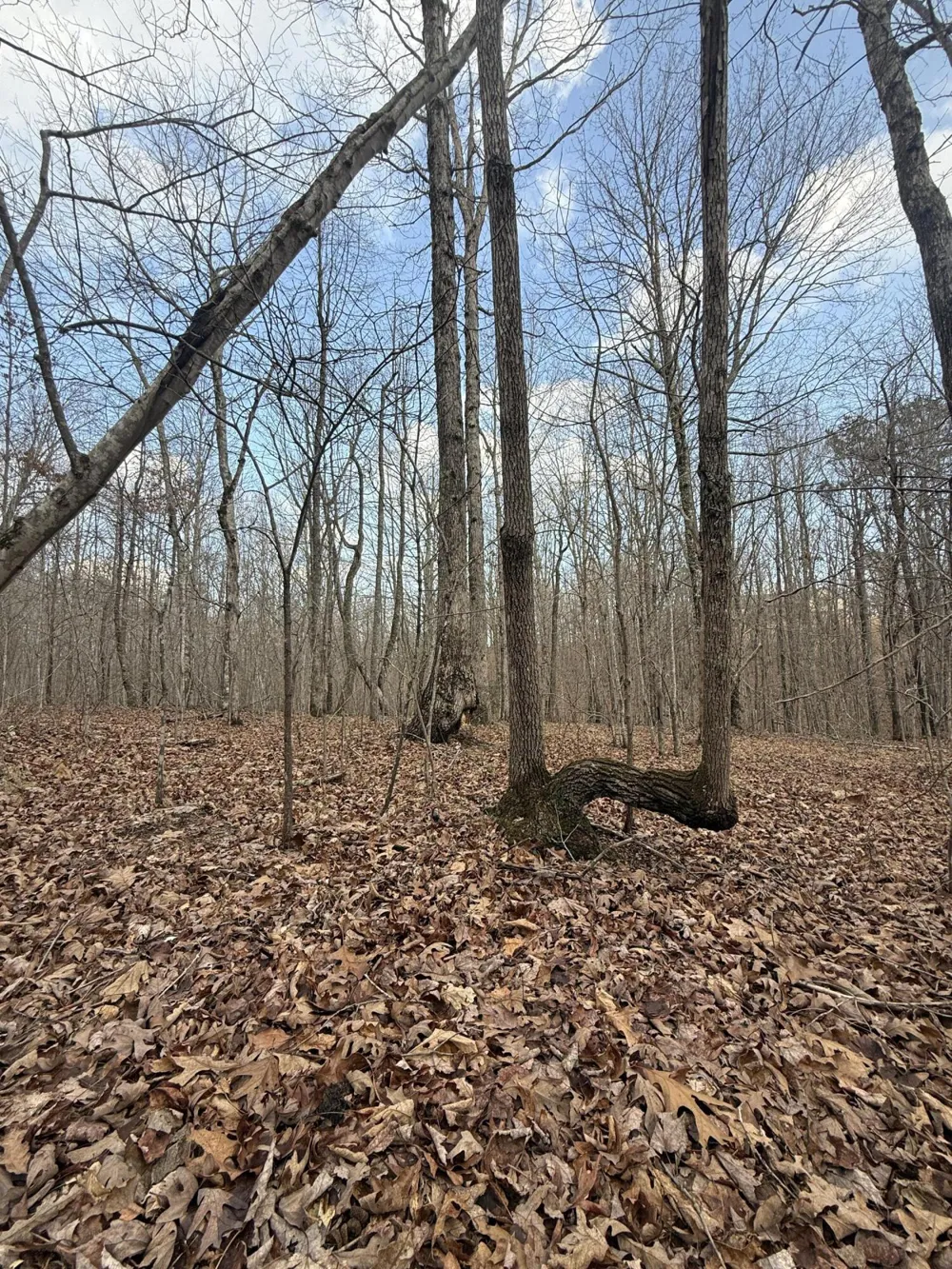 Hobbstown Road Dunlap, TN 37327