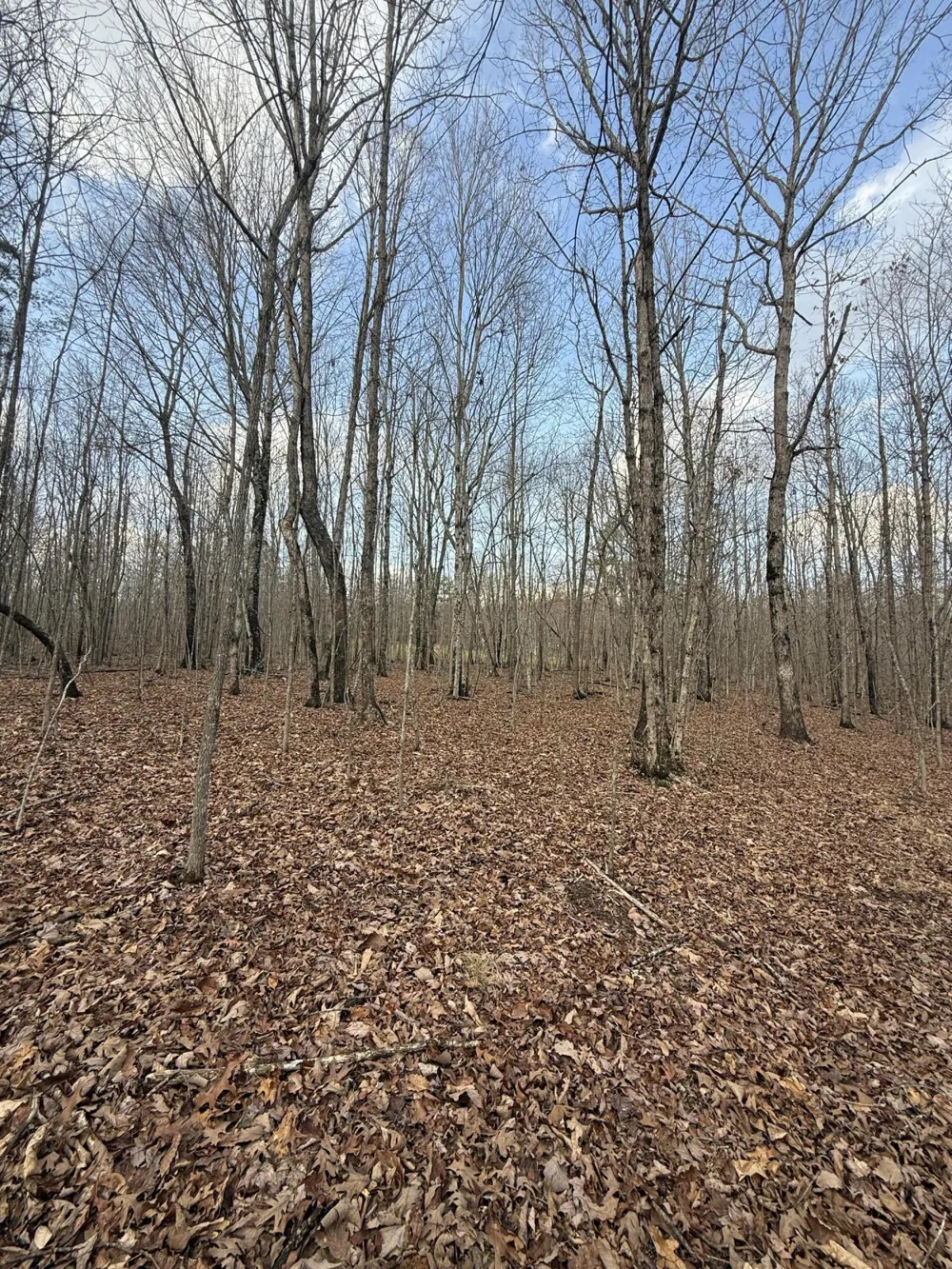 Hobbstown Road Dunlap, TN 37327