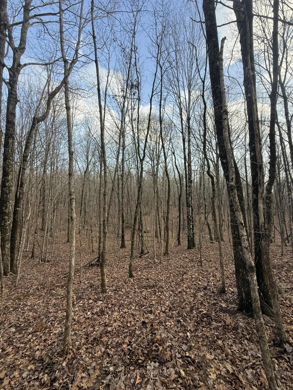 Hobbstown Road Dunlap, TN 37327