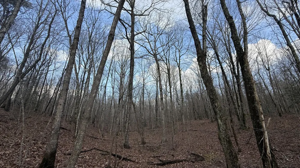 Hobbstown Road Dunlap, TN 37327