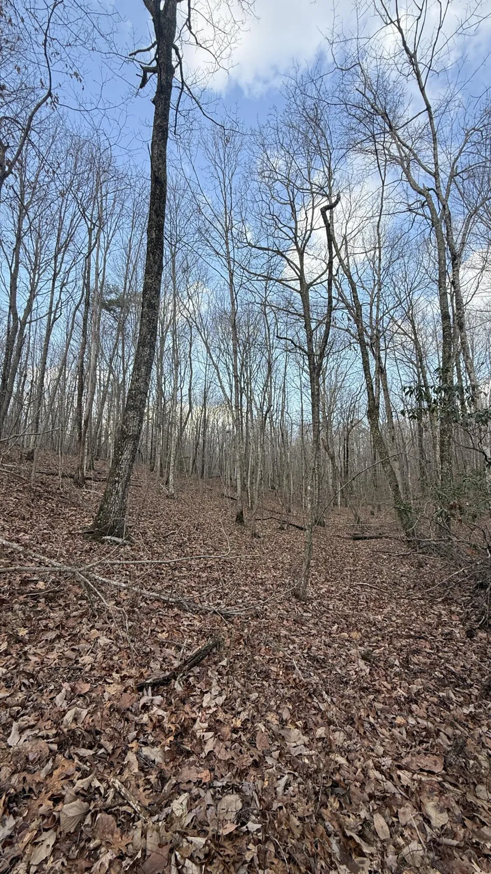 Hobbstown Road Dunlap, TN 37327