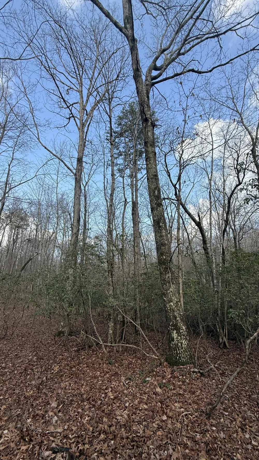 Hobbstown Road Dunlap, TN 37327
