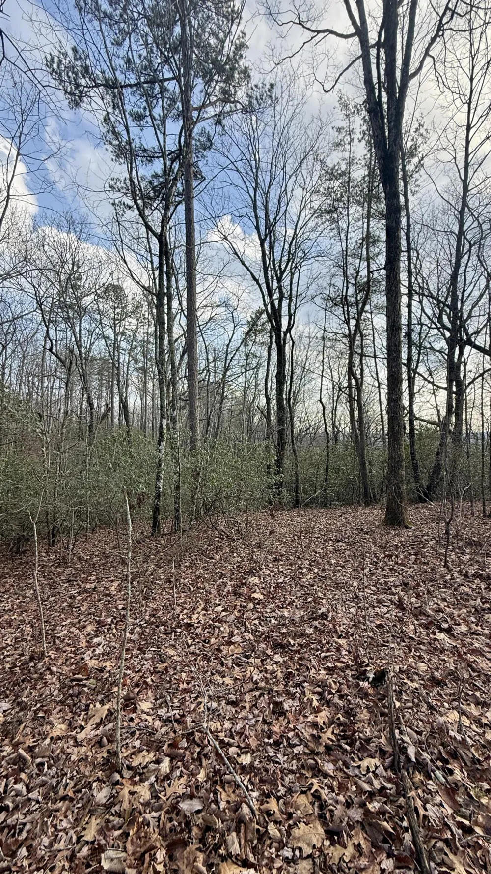 Hobbstown Road Dunlap, TN 37327
