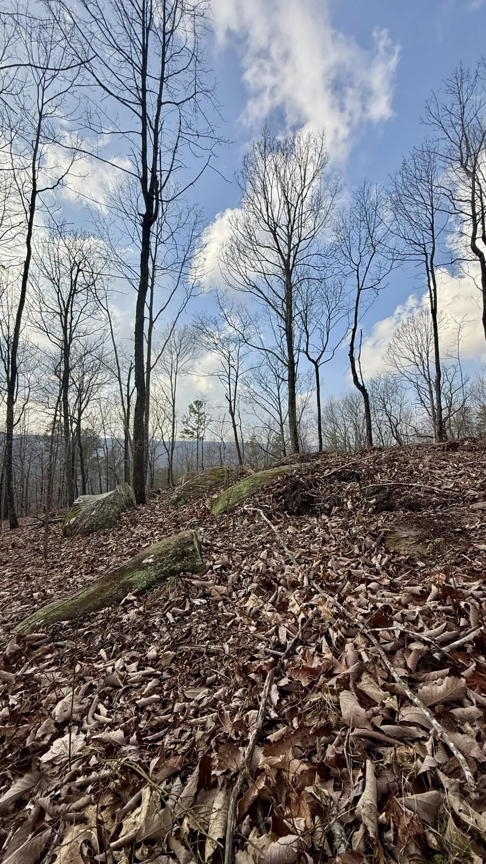 Hobbstown Road Dunlap, TN 37327