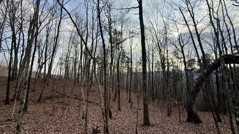 Hobbstown Road Dunlap, TN 37327