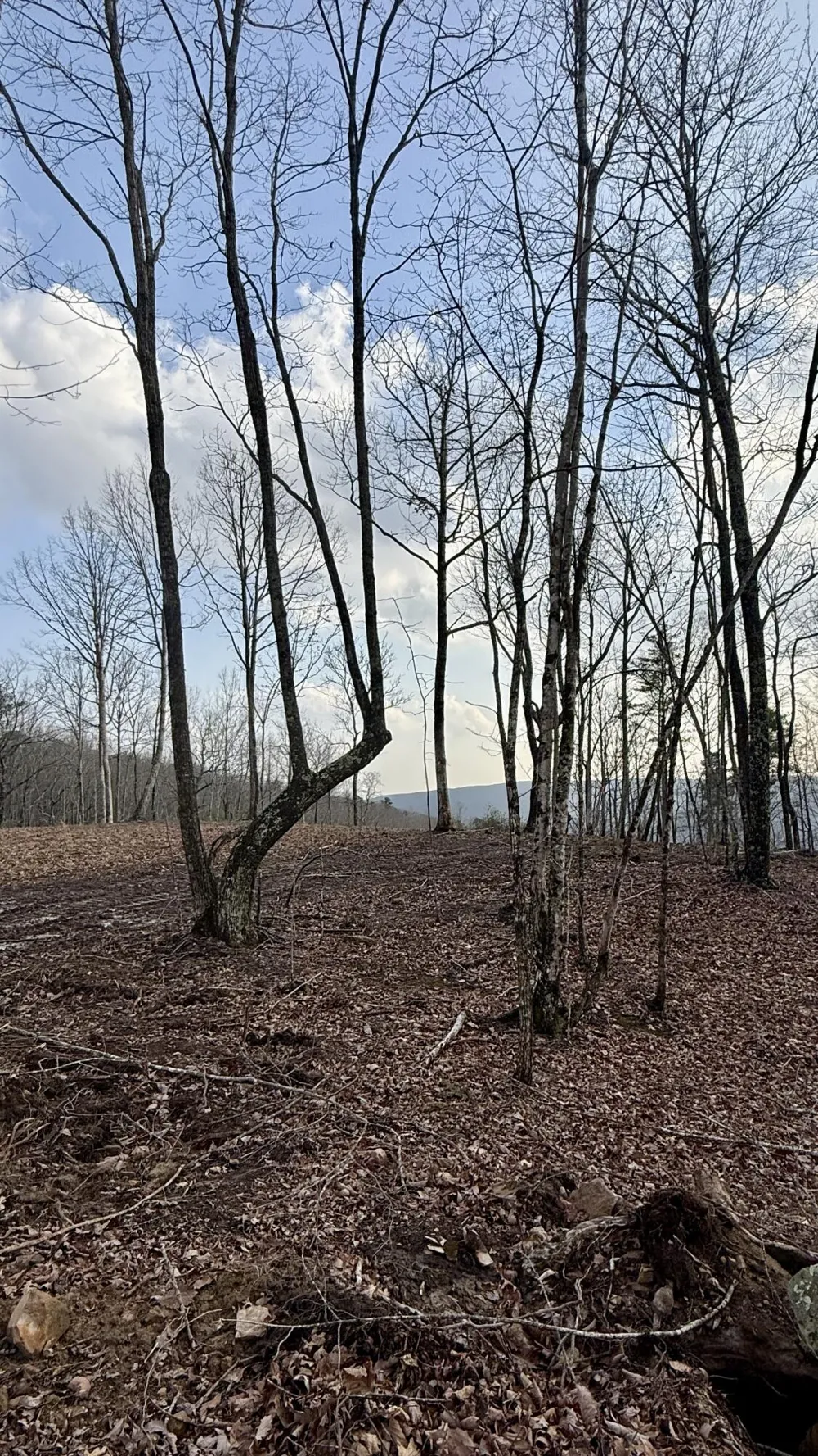 Hobbstown Road Dunlap, TN 37327