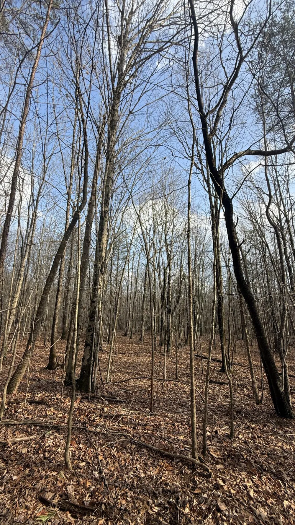 Hobbstown Road Dunlap, TN 37327