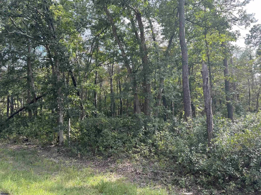 5827 Holly Street Mays Landing, NJ 08330