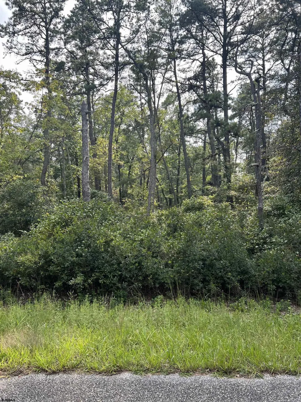 5827 Holly Street Mays Landing, NJ 08330