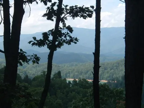 Wild Orchid Trail