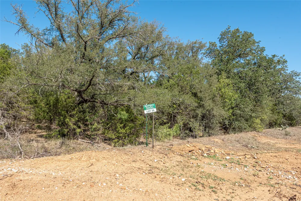 Sportsman Drive Santo, TX 76067