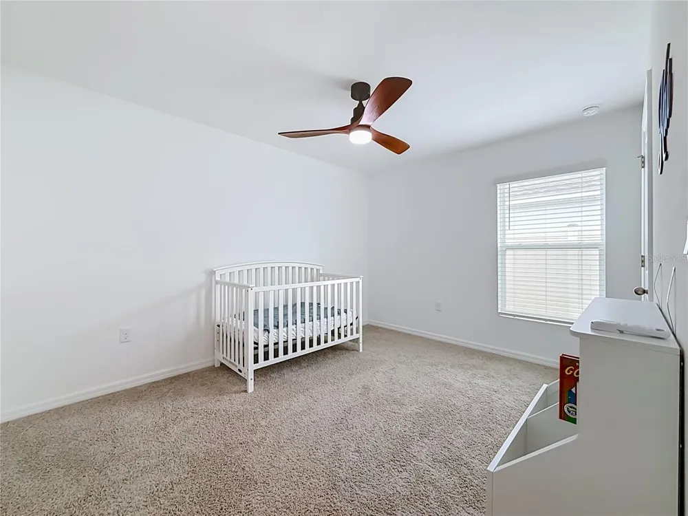 38407 TEA ROSE AVENUE Zephyrhills, FL 33540