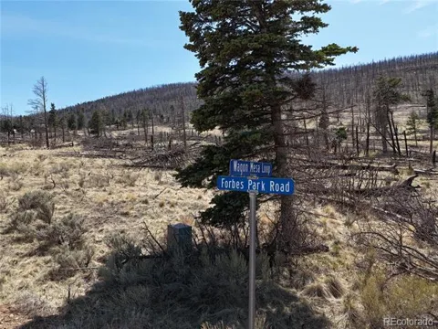 LOT 506 Forbes Park Road