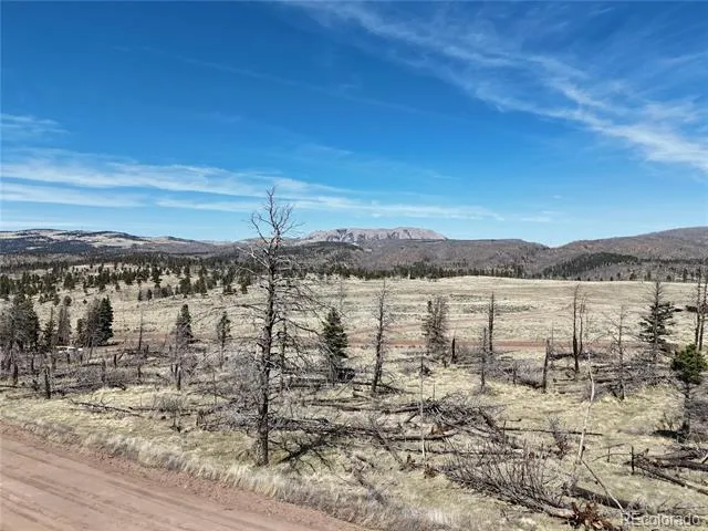 LOT 506 Forbes Park Road Fort Garland, CO 81133