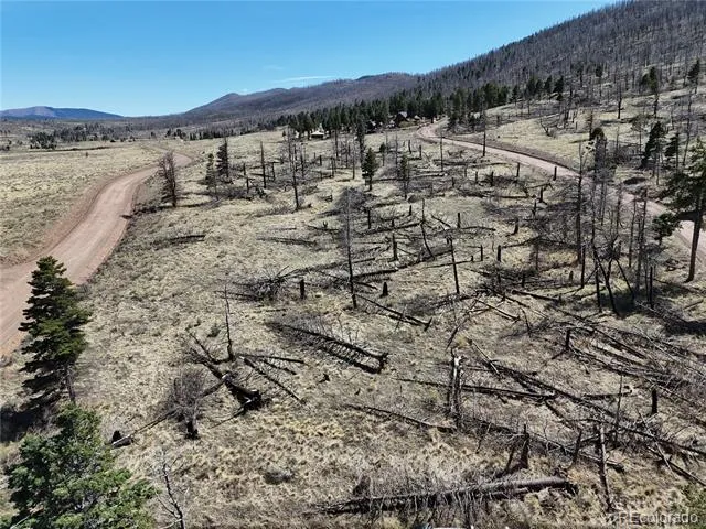 LOT 506 Forbes Park Road Fort Garland, CO 81133