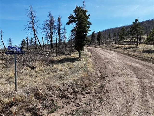 LOT 506 Forbes Park Road Fort Garland, CO 81133