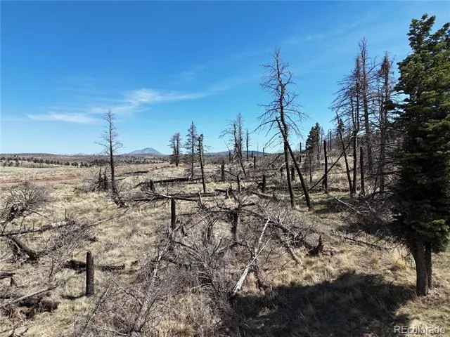 LOT 506 Forbes Park Road Fort Garland, CO 81133