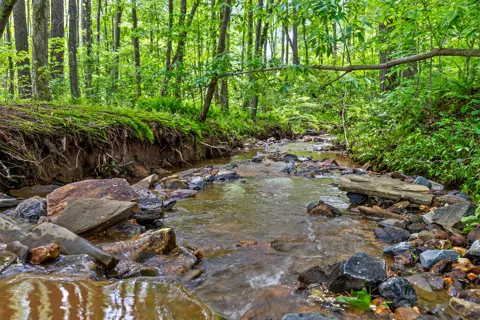 Lot 331 Twisted Oak Road