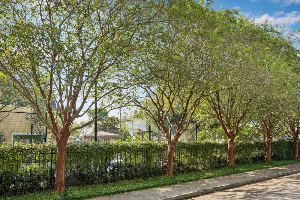 216 E 26th Street Houston, TX 77008