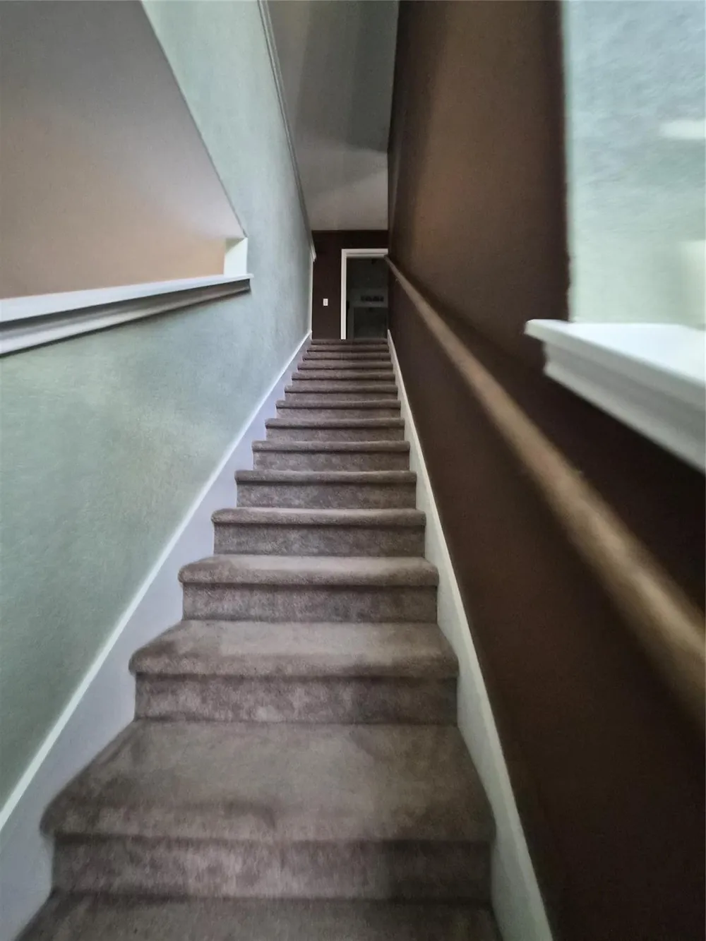 556 Black Alder Street Georgetown, TX 78626