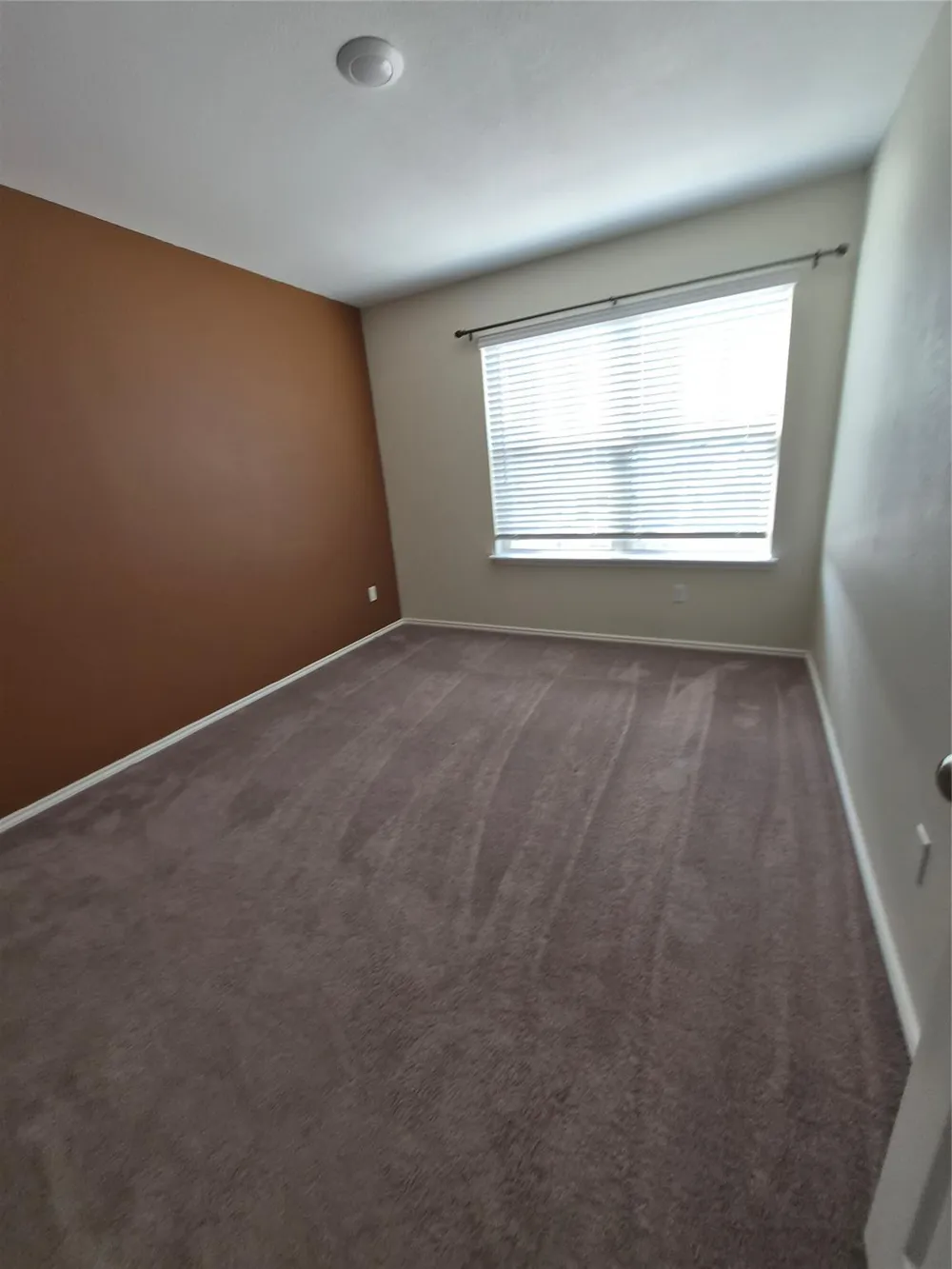 556 Black Alder Street Georgetown, TX 78626