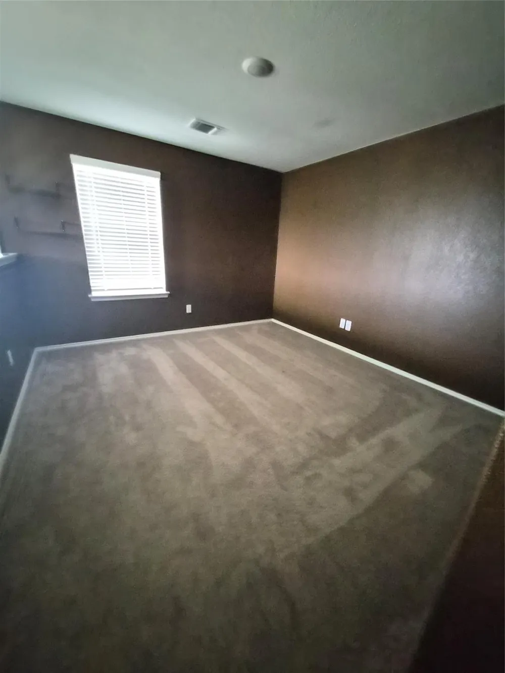 556 Black Alder Street Georgetown, TX 78626