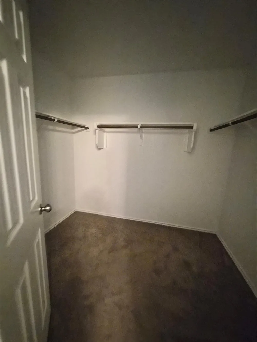 556 Black Alder Street Georgetown, TX 78626