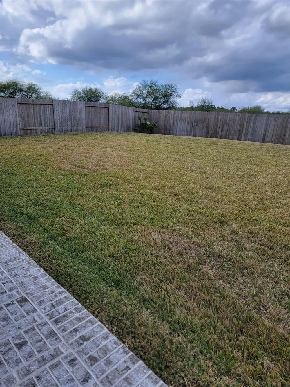 3130 Boulder Ridge Drive Rosenberg, TX 77471