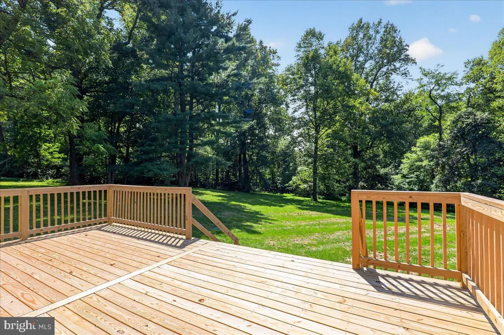 315 EAGLE ROCK LANE Bluemont, VA 20135
