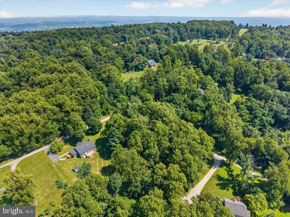 315 EAGLE ROCK LANE Bluemont, VA 20135