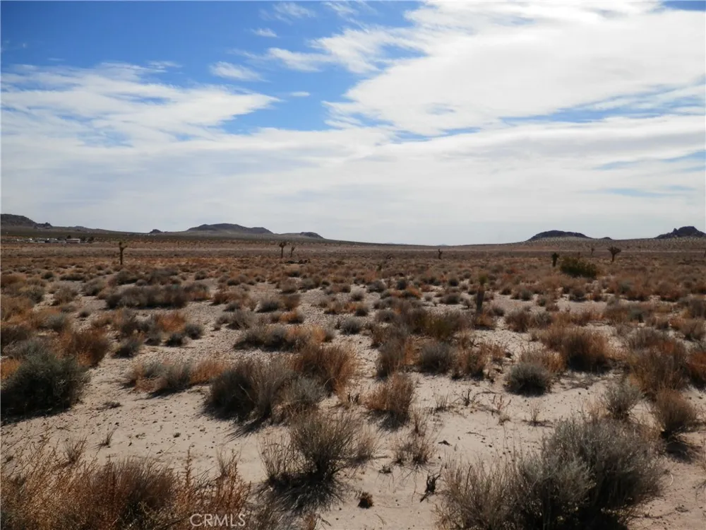 N O OLD WOMAN SPRING ROAD Lucerne Valley, CA 92356