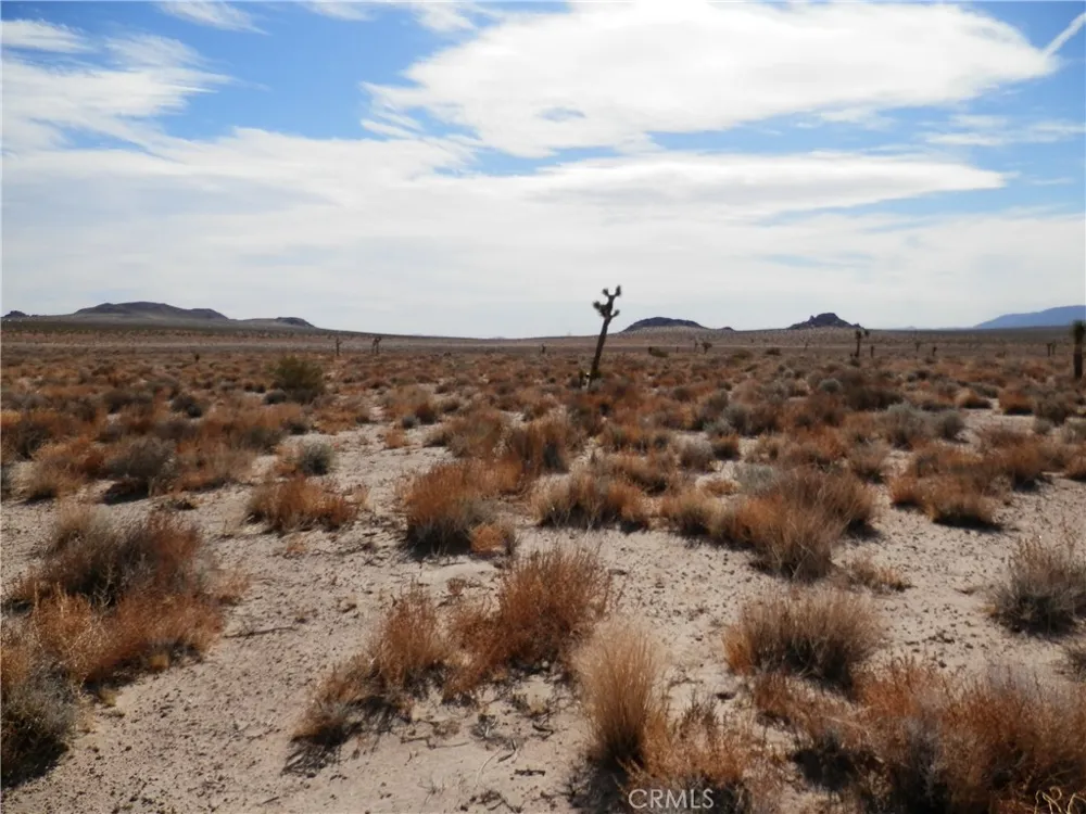 N O OLD WOMAN SPRING ROAD Lucerne Valley, CA 92356