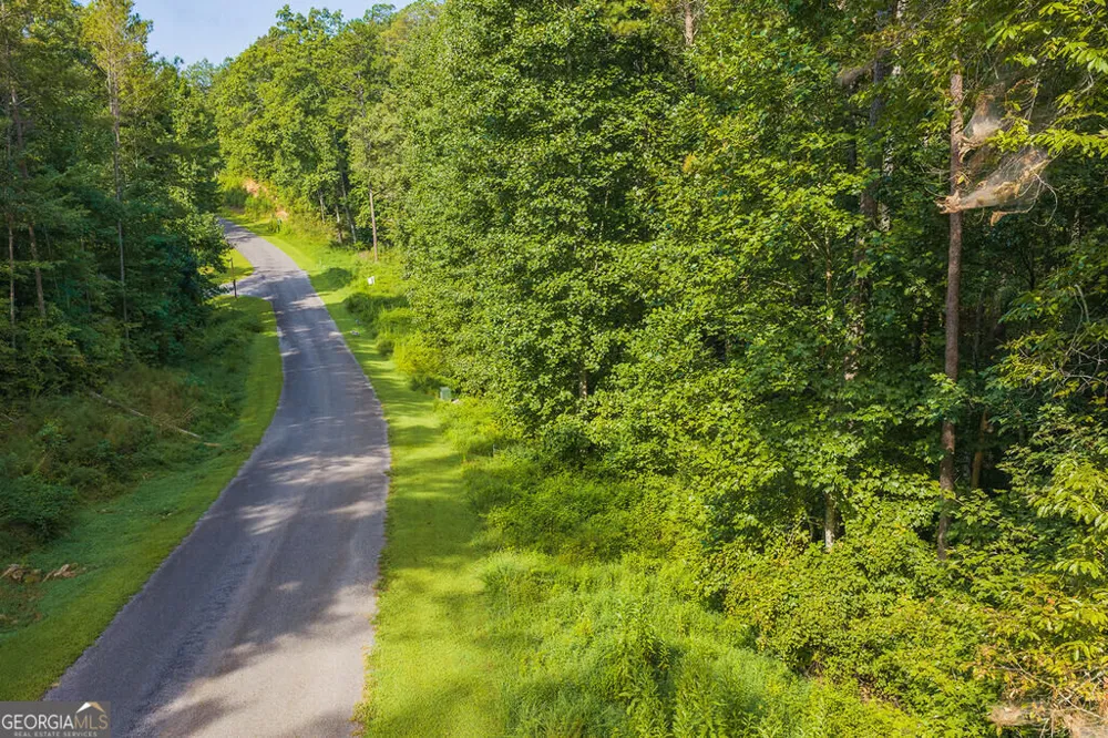186 Pinnacle DR Ellijay, GA 30540