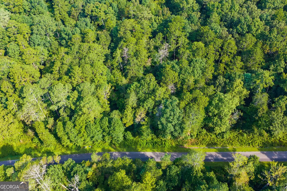 186 Pinnacle DR Ellijay, GA 30540