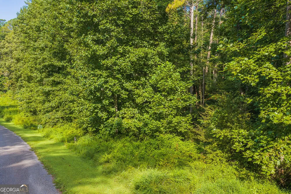 186 Pinnacle DR Ellijay, GA 30540