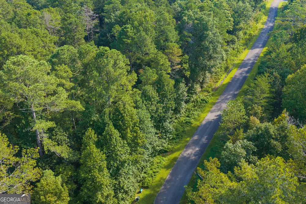186 Pinnacle DR Ellijay, GA 30540