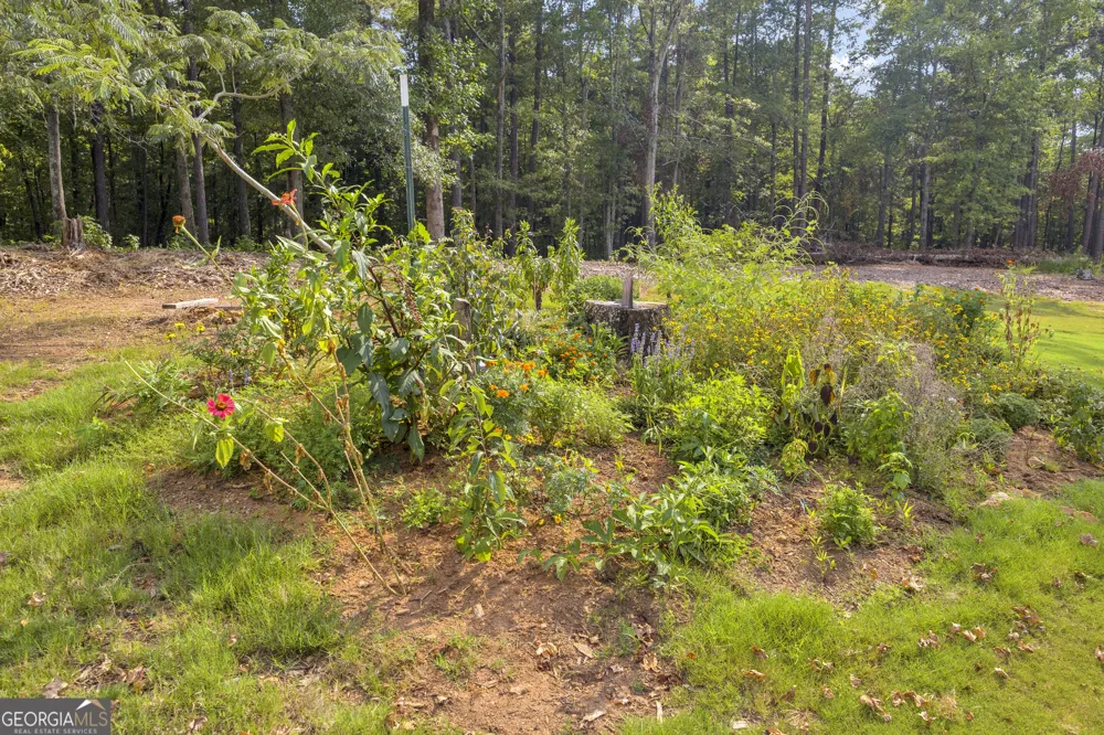 4499 Parkwood RD Social Circle, GA 30025